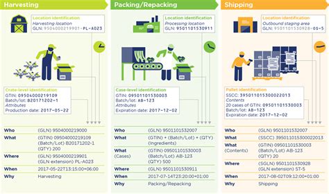 Fresh Fruit and Vegetable Traceability Guideline 